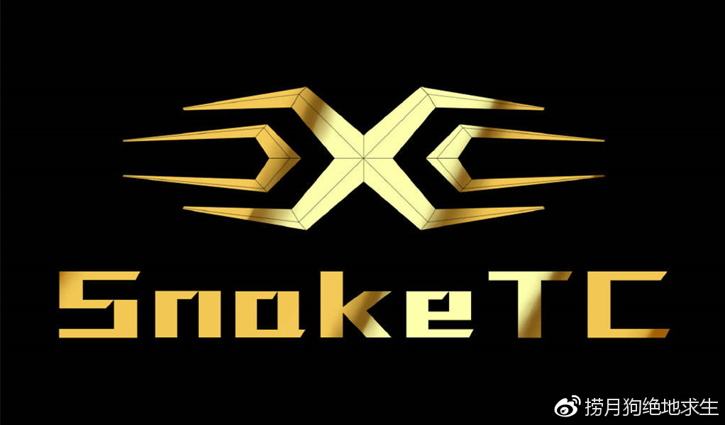 九游-关于Karsa关键节点战术调整，TL带队取胜！的信息